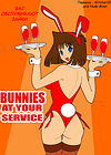 Bunnies At Your Service обложка